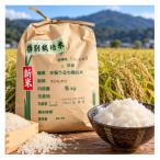 令和8年収穫 産コシヒカリ 5kg_ 精米