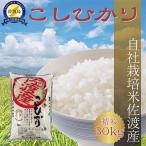 コシヒカリ 玄米 30kg