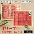 オリーブ牛&amp;豚焼肉三昧セットS-13