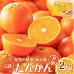 奄美完熟たんかん 用2kg〈秀品〉