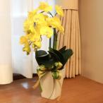 胡蝶蘭 造花 シルクフラワーのミディ胡蝶蘭の鉢植