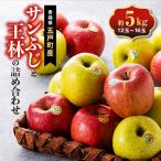 ふるさと納税 五戸町 五戸のサンふじと王林の詰め合わせ 約5kg