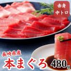 産本まぐろ 中トロ 赤身 約480g