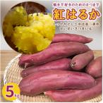 焼き芋好きのためのさつま芋 紅はるか5kg