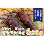 ふるさと納税 紀北町 バタバタしたら角と足がとれちゃいました 活冷伊勢えび 約600g〈訳あり(不揃い)〉【BB25】