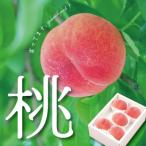 ふるさと納税 山梨市 【日本一の桃の里】山梨直送!完熟桃4〜6玉 約1.5kg ギフト化粧箱入り