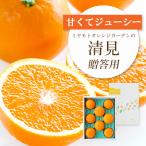 果汁 ジューシー清見 専用 BOX入り