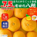 八朔 箱込7.5kg 内容量約6.8kg