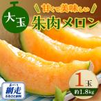 ふるさと納税 網走市 【先行受付】網走産甘くて美味しい大玉朱肉メロン1玉(約1.8kg)
