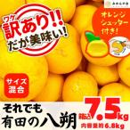 八朔 訳あり それでも 箱込7.5kg 内容量約6.8kg