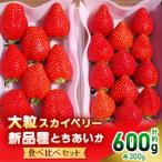 ふるさと納税 矢板市 大粒スカイベリー&新品種とちあいか 食べ比べセット