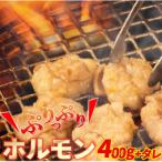 大 焼肉屋さんのご家庭で簡単 ホルモン焼きセット400g+タレ