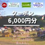 6,000円分