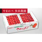 2027年 真夏のルビー紅姫 本詰約1kg