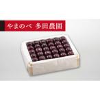 2027年 特選サミット 桐箱詰約500g