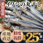三河湾 知多半島産 無添加いわし丸干し 5本入り×5袋 計25本