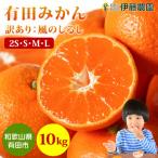 伊藤農園の有田みかん 風のしるし 10kg