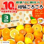 旬の柑橘食べ比べ 柑橘ごろごろ 3種
