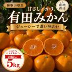 はじめまして 有田みかん 5kg