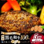 塩で食べるやわらかハンバーグ デミグラスソース付