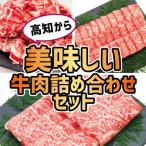 高知から美味しい牛肉詰め合わせセット