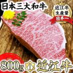 近江牛A5ランクサーロインブロック 牛肉