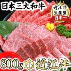 ふるさと納税 近江八幡市 近江牛A5ランク焼肉・すき焼セット【800g】【DG11SM】