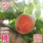 ふるさと納税 笛吹市 【ふるさと納税】先行受付 厳選!桃 約3kg(8〜12玉) 山梨県笛吹市産