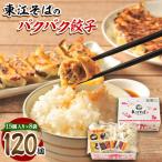 東江そば 冷凍生餃子 120個入