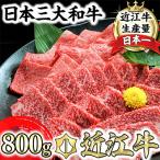 ふるさと納税 近江八幡市 近江牛A5ランク焼肉美味セット【800g】【DG10SM】