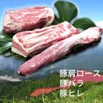 ふるさと納税 雲仙市 長崎県産 雲仙高原赤豚【ブロック肉3種】約1900g