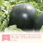 fu.... налог . гора город . мир 8 год производство ... Black Jack 1 шар 6~8kg