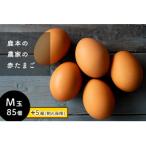 鹿本の赤たまご M玉 85個+割れ保障5個