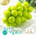 ふるさと納税 山梨市 山梨県山梨市産 特選 旬の採れたてシャインマスカット 約1.8kg 3〜5房