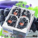 ぶどう ニュー ピオーネ 4房 合計2kg以上