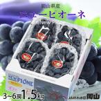 ニューピオーネ 1.5kg