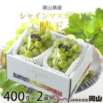 ショッピングふるさと納税 シャインマスカット ふるさと納税 津山市 【2026年7月中旬より順次発送】岡山県産 シャインマスカット 晴王 400g×2房