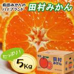 ふるさと納税 和歌山市 高級みかん秀品「田村みかん」5kg【2026年11月以降発送分】