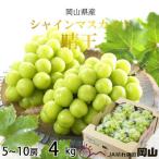 ふるさと納税 里庄町 【2025年8月発送】岡山県産 シャインマスカット 晴王 4kg(5房〜10房)