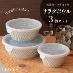 タックサラダボウル3個セット レンジ用フタ付き