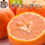 厳選 カラマンダリン5kg+250g 傷み補償分
