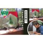 お正月飾り かどまつのパネル パネル アクリルスタンド
