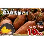 中園ファームの種子島安納いも 生いも SS