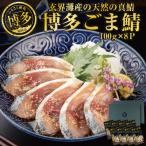 玄界灘産 天然真鯖 博多ごま鯖 800g