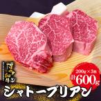 希少部位 博多和牛 シャトーブリアン 600g