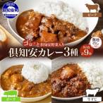 倶知安野菜のカレー食べ比べ3種セット
