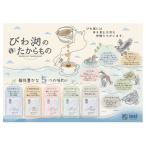 自家焙煎コーヒー大津京セレクト ドリップバッグ
