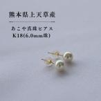 上 上天草産 あこや真珠ピアス K18 6.0mm珠
