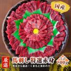 ふるさと納税 益城町 【馬刺し】国産 熊本直送 赤身ブロック800g(益城町)