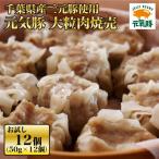 元気豚 大粒肉焼売お試しセット 600g